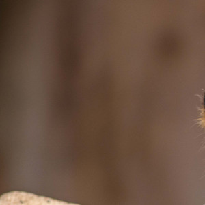 我们未完成的承诺