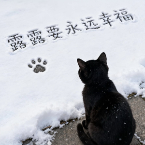 我不想你成为另一颗树的春天