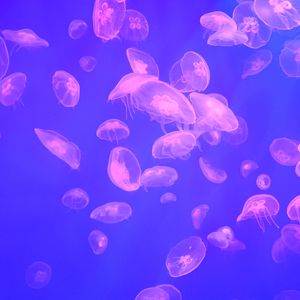 意乱情迷（Prod by Siren）