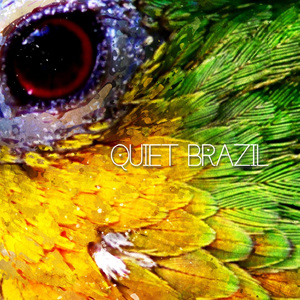 South American Shamanism