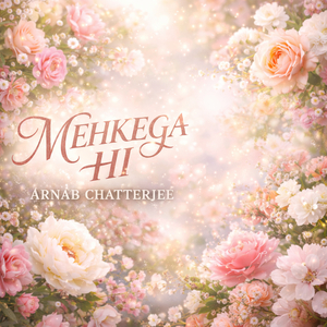 Mehkega Hi