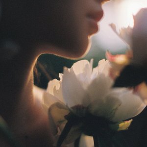 『限时免费』夏爱微醺