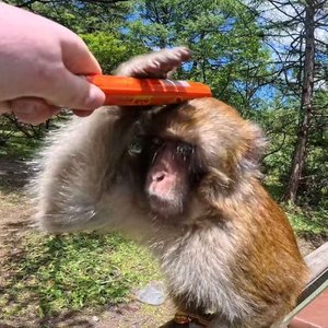 念旧的人会被困在回忆里