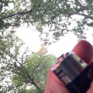 Distaster (feat. OTC babyree & Babyree)