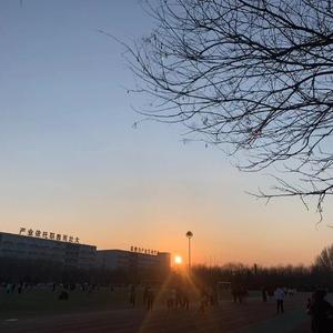 花败你不在（翻自 Mc名决）