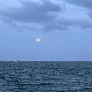 I wish I'd gotten to know you