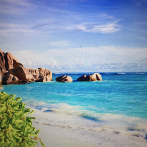 Сияли звезды