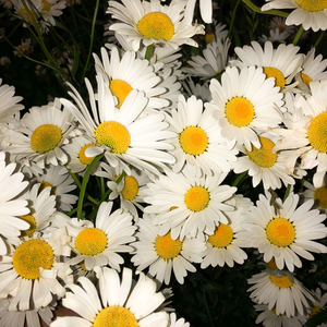 돌아갈 수 없었어 (inst.)