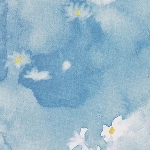 海边的石头在呆呆看着云（Demo）