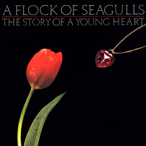 European (I Wish I Was)