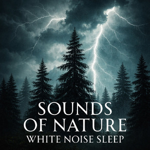 ホワイトノイズとしての自然音