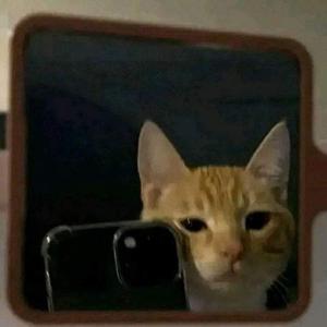 Lầm Chánh Cường I LUV <3 (feat. Lầm Chánh Cường)