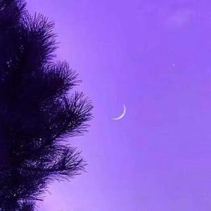 所念皆星河（温柔版）