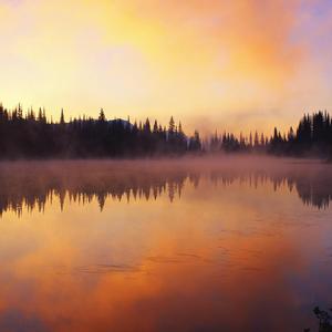 滾滾紅塵-口琴版