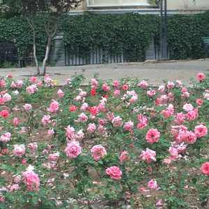 A Second or Two（Demo）