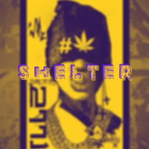 Shelter