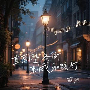 直到整条街上剩我和路灯