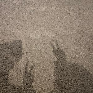 无地自容伴奏 (伴奏)