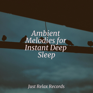 Sparkling Sunbeams on Snow