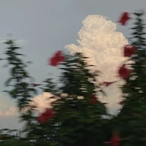 ˃̣̣̥᷄⌓˂̣̣̥᷅