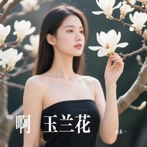 啊 玉兰花