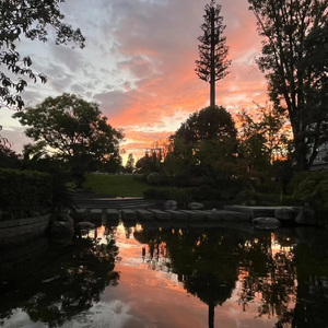 总有一天你会出现在我身边