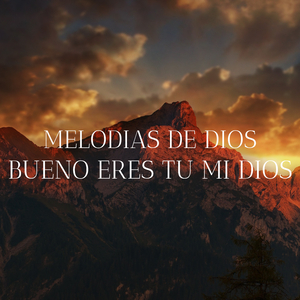 Bueno eres tu mi Dios