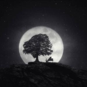 The sound of silence