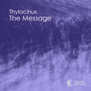 The Message (Original Mix)