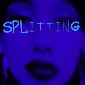 Splitting (Single Mix)