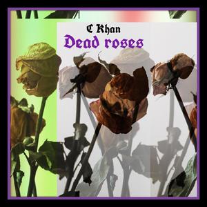 Dead roses