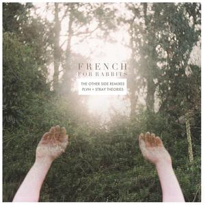 The Other Side (Stray Theories Remix)