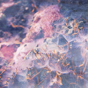 de profundis (work in progress)