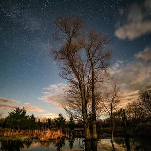 like(prod.Furyl,4_Chords)