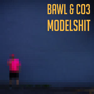 Modelshit (Co3 Remix)