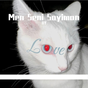 Men Seni Soyiman