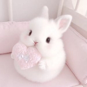 以后