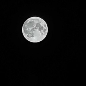 等黎明重现（Abuse）