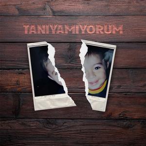 Tanıyamıyorum