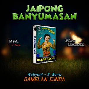 Warung Pojok (feat. Wahyuni, S. Bono, Seniman Jawa, Jaipong Banyumasan & Lagu Banyumasan)