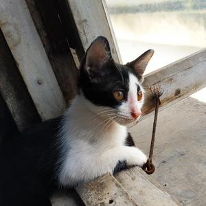 值不值得（伴奏）