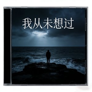 从未想过.mp3