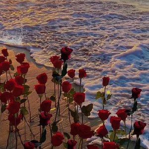 不必猜·猜不透