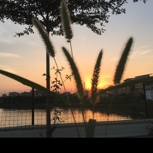 少一点天分