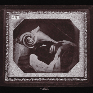 ...Божа Роса