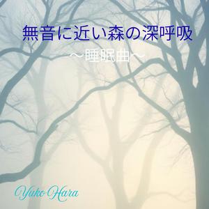 森の囁きが教える静けさ