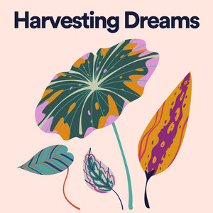 Different Shades of Green