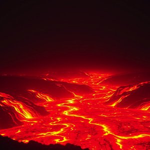 Glowing Pineapple Carousel