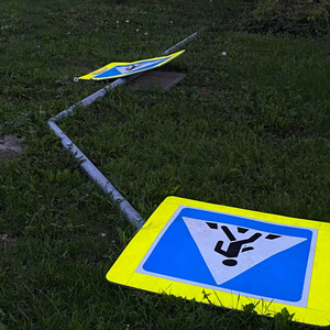 майские цветы