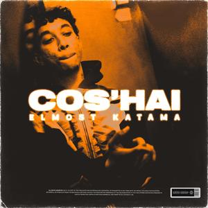 Cos'hai